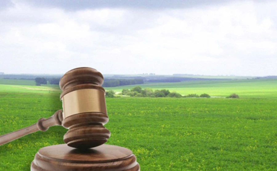 В Днепре у экс-регионала отобрали более 15 га: пользовался незаконно