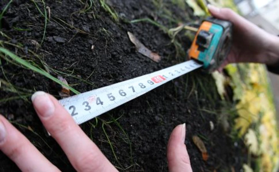 Минфин планирует запустить земельную реформу в этом году