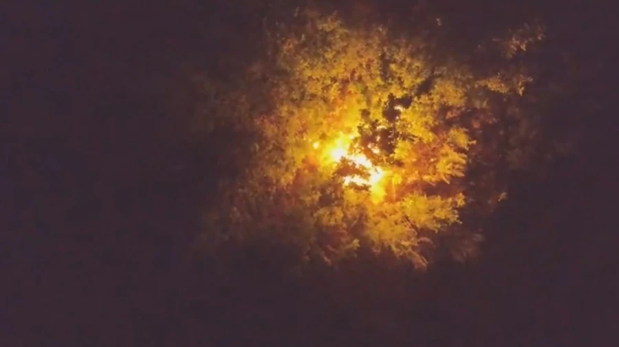 Прикордонники показали нічні візити Вампіра до окупантів на Сіверському напрямку