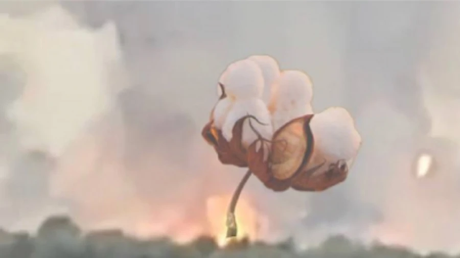 Дроны ГУР и СБУ атаковали объекты в Туле, Смоленске, Орле и Усть-Луге – источники