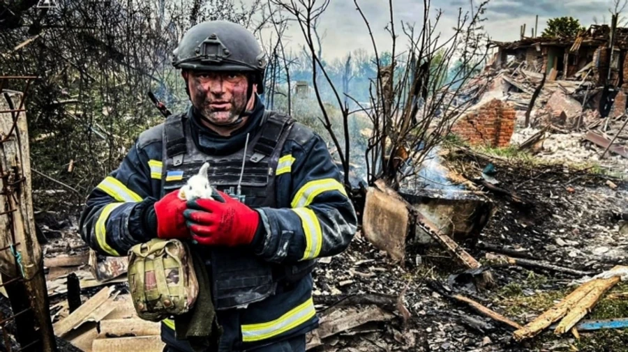 Армія РФ вдарила по житловому сектору на Харківщині: постраждали дві жінки