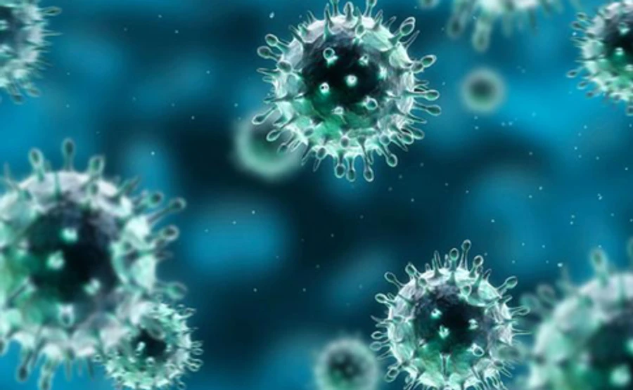 Коронавирус получил временное официальное название