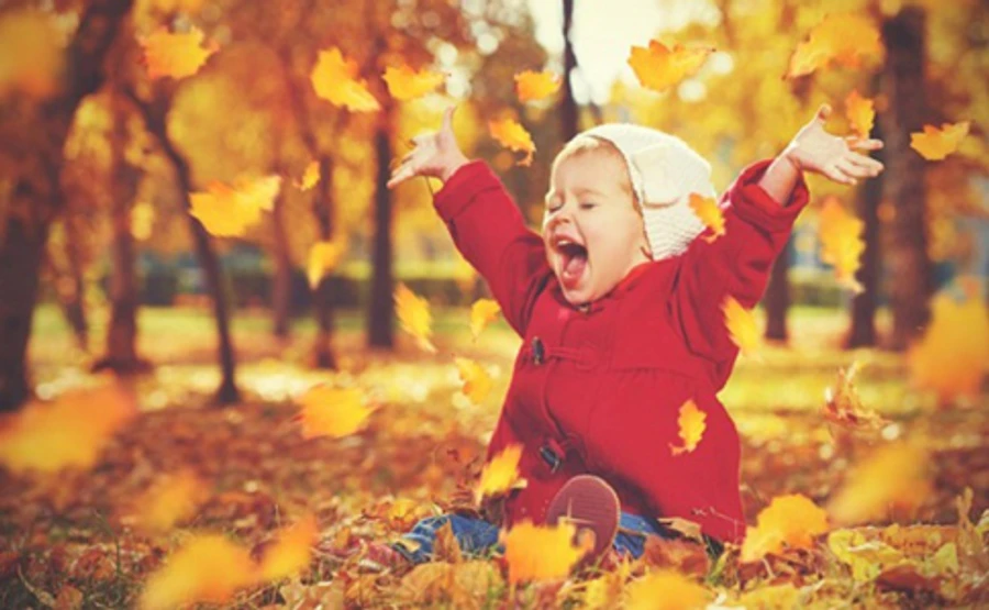 Синоптик прогнозує в Україні африканську спеку