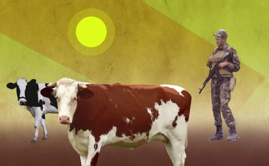 Хроника 23 июня. Военным предлагают разводить коров, в Украину прилетел Папа Римский