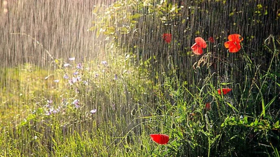 В день солнечного затмения Украине прогнозируют град и грозы