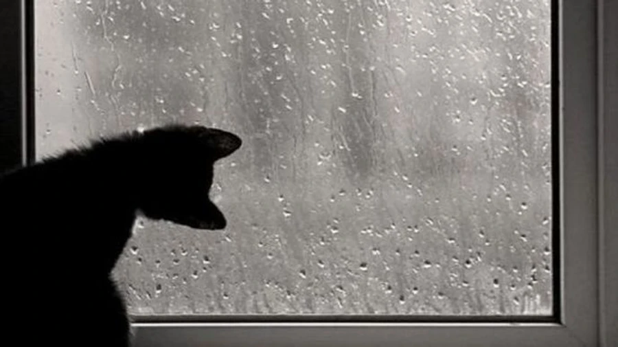 Синоптик розповіла про погоду на Новий рік і 1 січня: будемо стрибати по калюжах