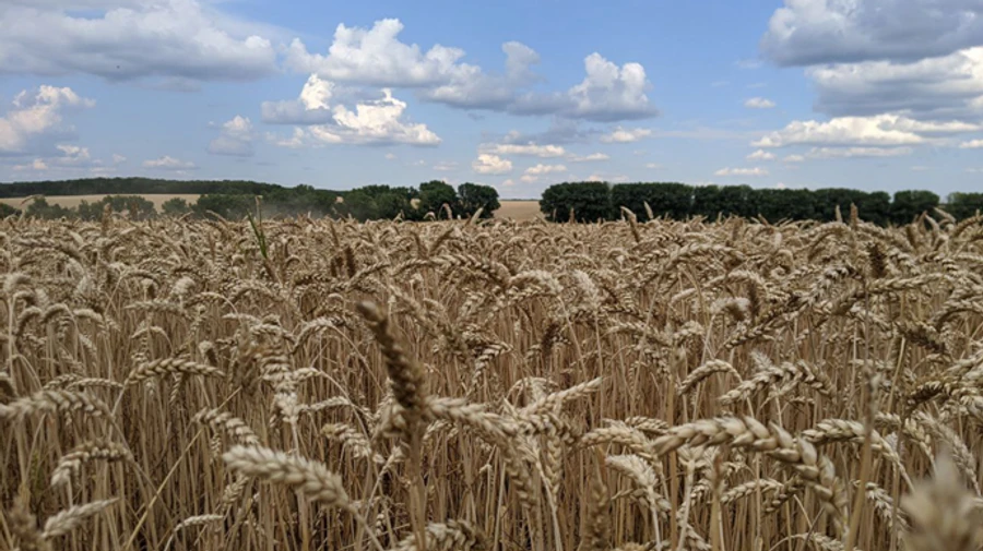 В Україну повертається спека
