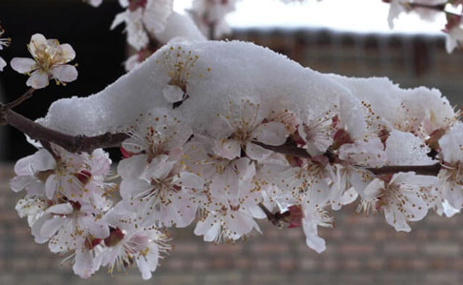 В Украину идет похолодание, ночью до -8