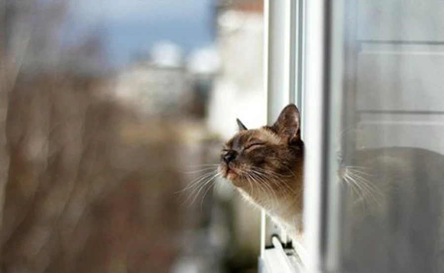 На днях в Украине резко потеплеет