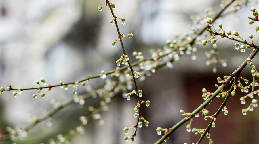 Квітень прийде з дощами