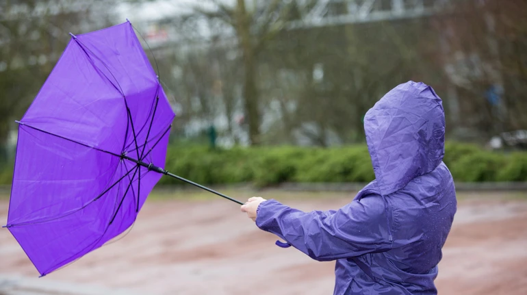 Що спричинило сильні пориви вітру в Україні і коли вони вщухнуть: пояснення метеорологів