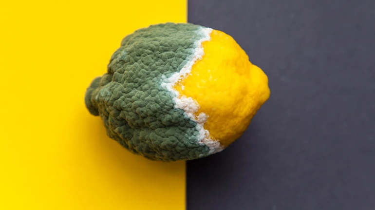 Відключення світла vs продукти: чому псується їжа без холодильника та скільки її можна зберігати