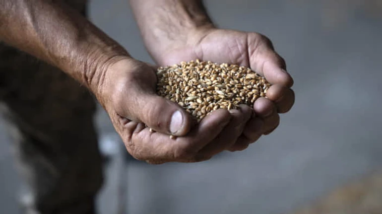 Уничтожит ли Брюссель сельское хозяйство Украины? Ключевые мифы об аграрной политике ЕС