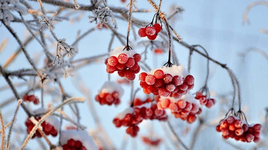 В Украине на выходные прогнозируют резкое похолодание