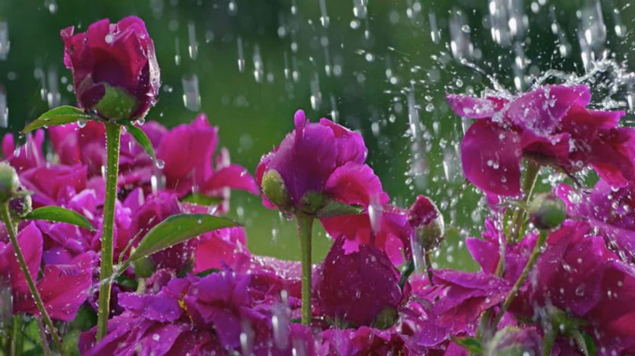 На выходные прогнозируют дожди, заморозки и сильный ветер