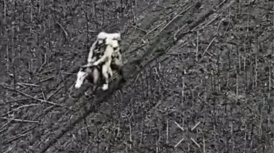 Силы обороны уничтожили российского штурмовика на лошади