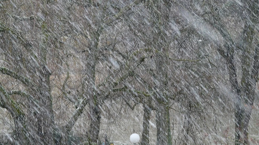 В Украину идут дождь и мокрый снег