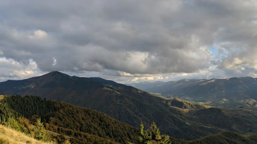 ООН: из-за незаконных рубок и изменений климата Карпатский регион в реальной опасности