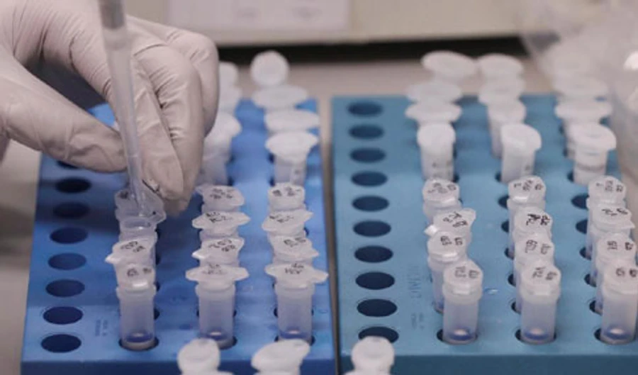 Во Львове массовое тестирование выявило COVID-19 e водительницы трамвая