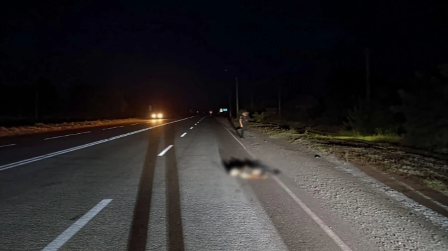 Запорізька область: водій збив на смерть військового та втік