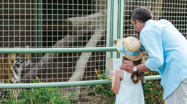 У Японії працівник зоопарку заявив, що спалив тіло дружини в печі для кремації тварин
