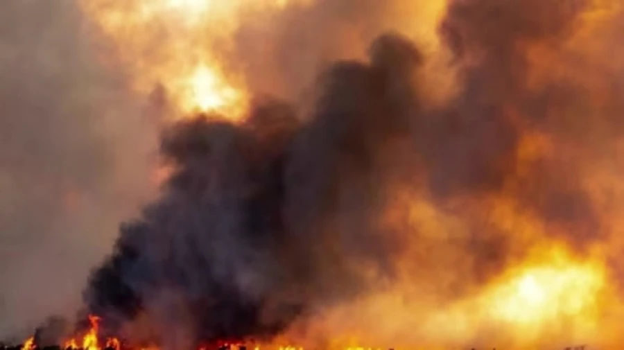 Consequences of nighttime Russian attack on Odesa revealed