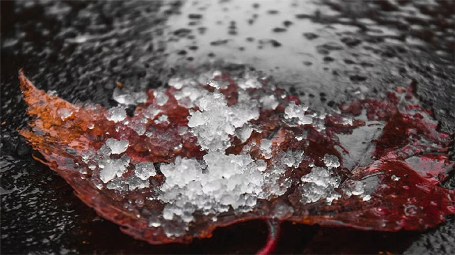 В Україну знову йдуть дощі зі снігом