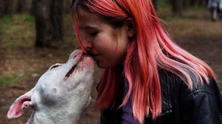 Собаку из приюта гладил Орландо Блум: как подростки-зооволонтеры спасают животных