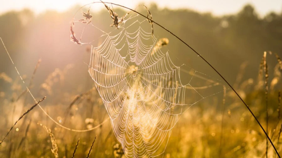 Синоптик прогнозирует вкусные +22 в Украине