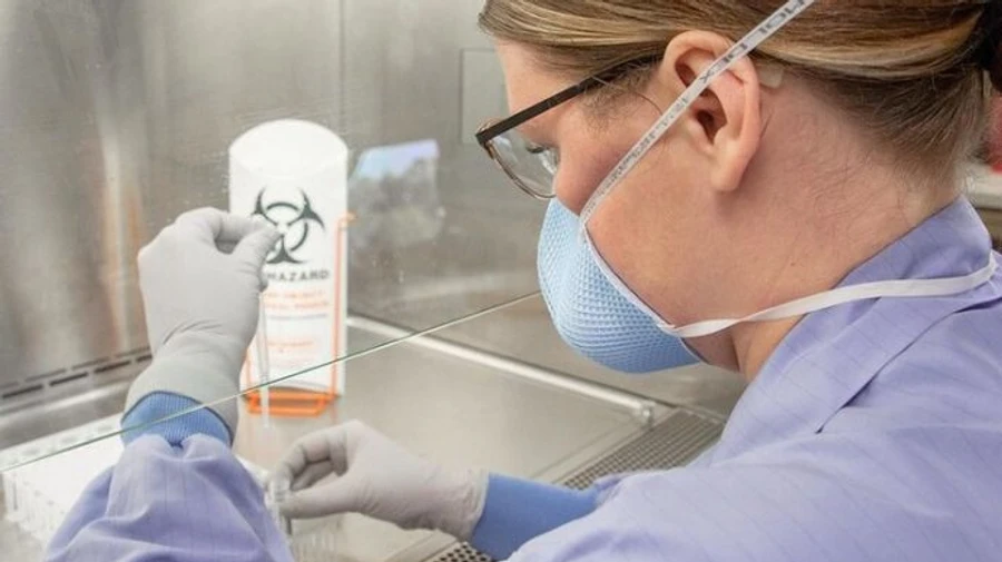 В Україні немає штамів вірусу з Британії, ПАР та Бразилії – МОЗ