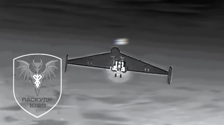 Ukrainian military sets record with Sting interceptor drones: 30 Shaheds in 24 hours – video