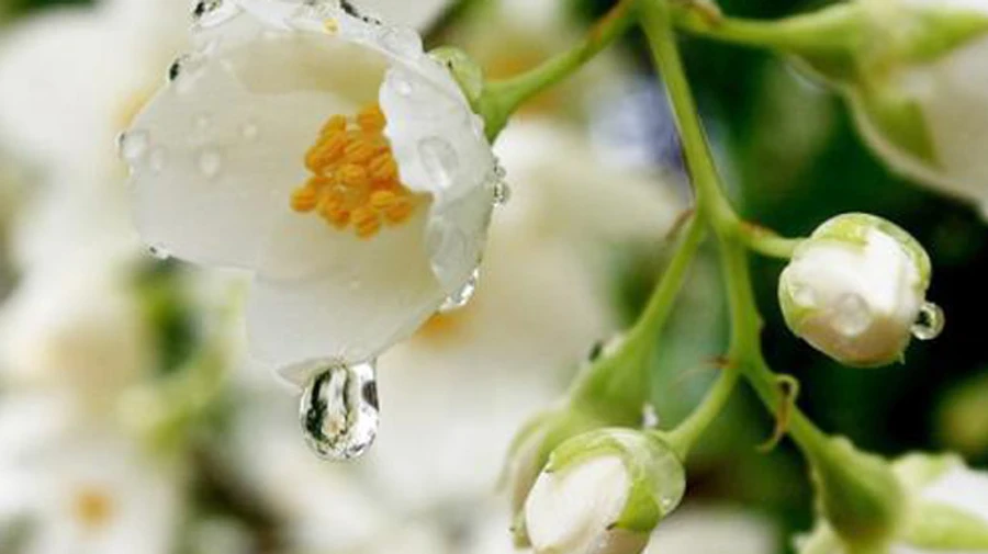 Противостояние циклона и антициклона будет крутить головы: предупреждают о пестрой погоде