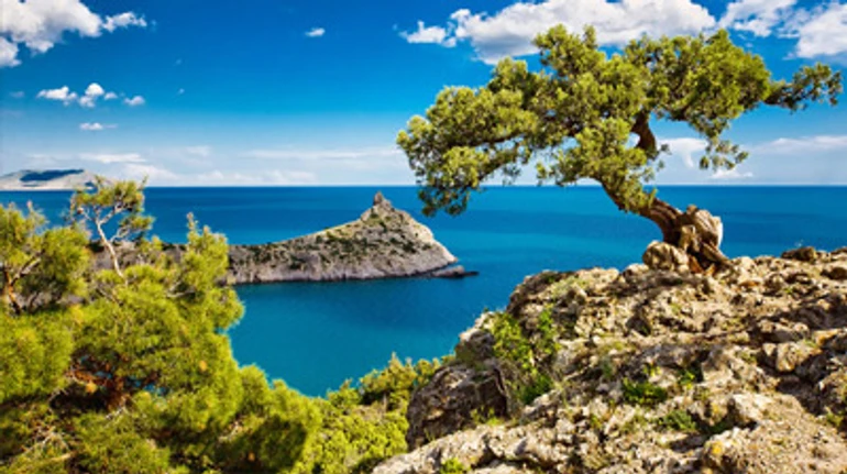 Найщасливіші миті у житті: 5 родинних та романтичних історій про такий рідний Крим