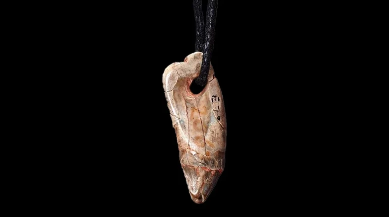 Кому належить зуб? Вчені дослідили історію підвіски віком понад 15 тисяч років
