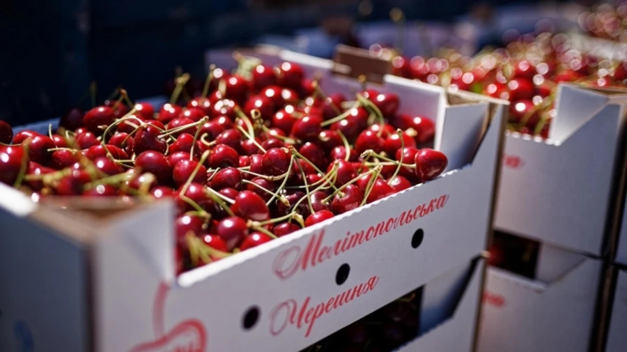 Russia appropriates Melitopol Cherry geographical brand