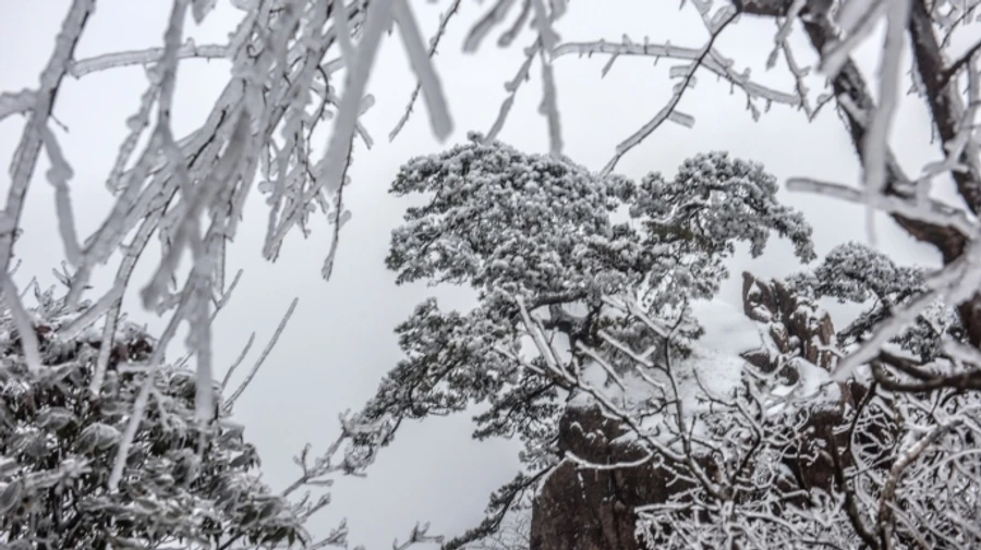 В Украине в ближайшие дни похолодает, в западных областях ожидается дождь и мокрый снег