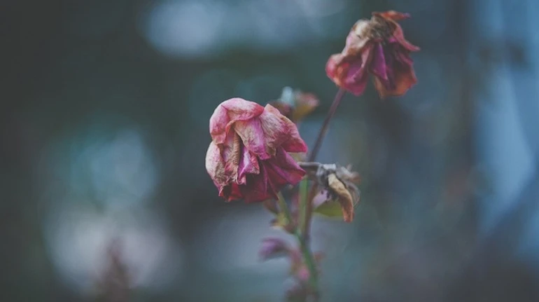 Ми до останнього брехали їй, що все буде добре: Дві історії про смерть