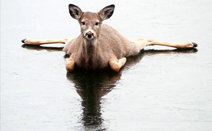 Найближчими днями Україну приморозить, буде ожеледиця