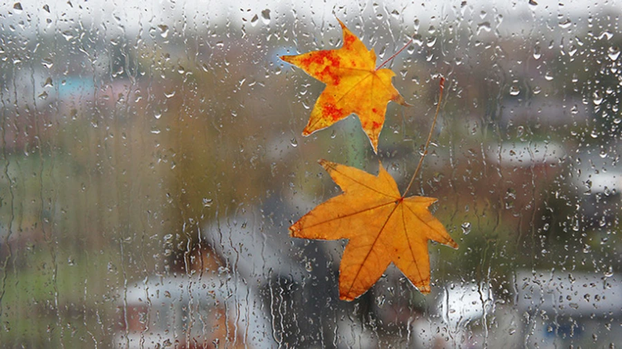 Синоптики рассказали, когда ждать дождей