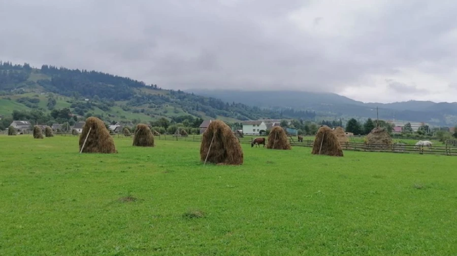 Синоптики предупреждают о резком похолодании