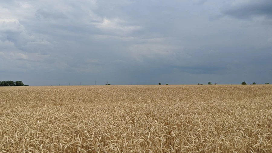 В Україні оголосили штормове попередження