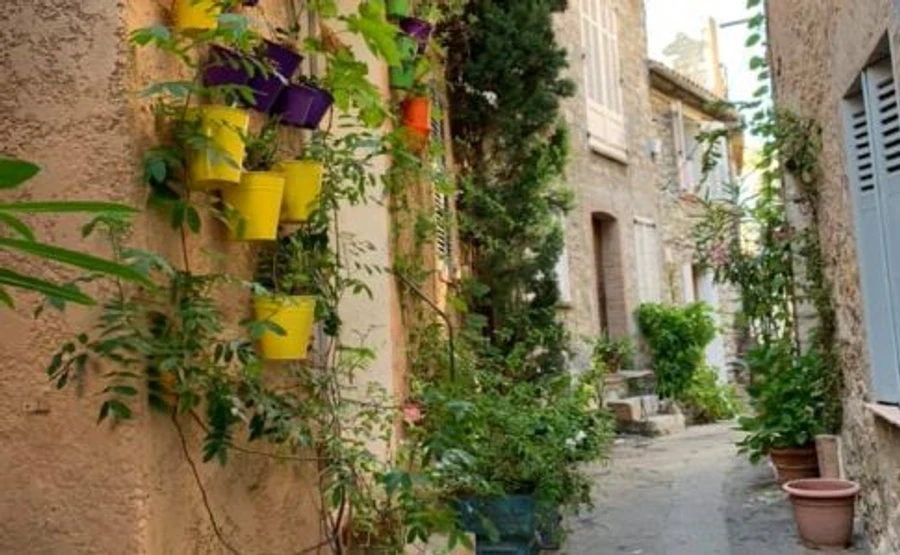 Луценко сам показав, як відпочивав у Провансі