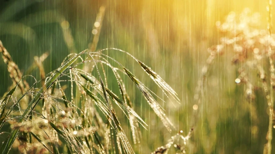 На вихідних в Україні дощитиме