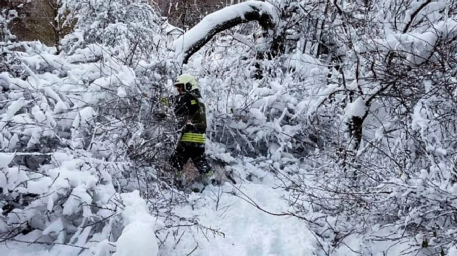 Количество погибших из-за непогоды в Украине возросло до 12 –  МВД