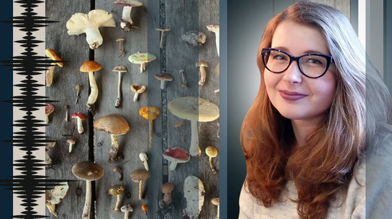 Экокожа, стройматериалы и препараты от смертельных болезней: достаточно ли мы знаем о мире грибов