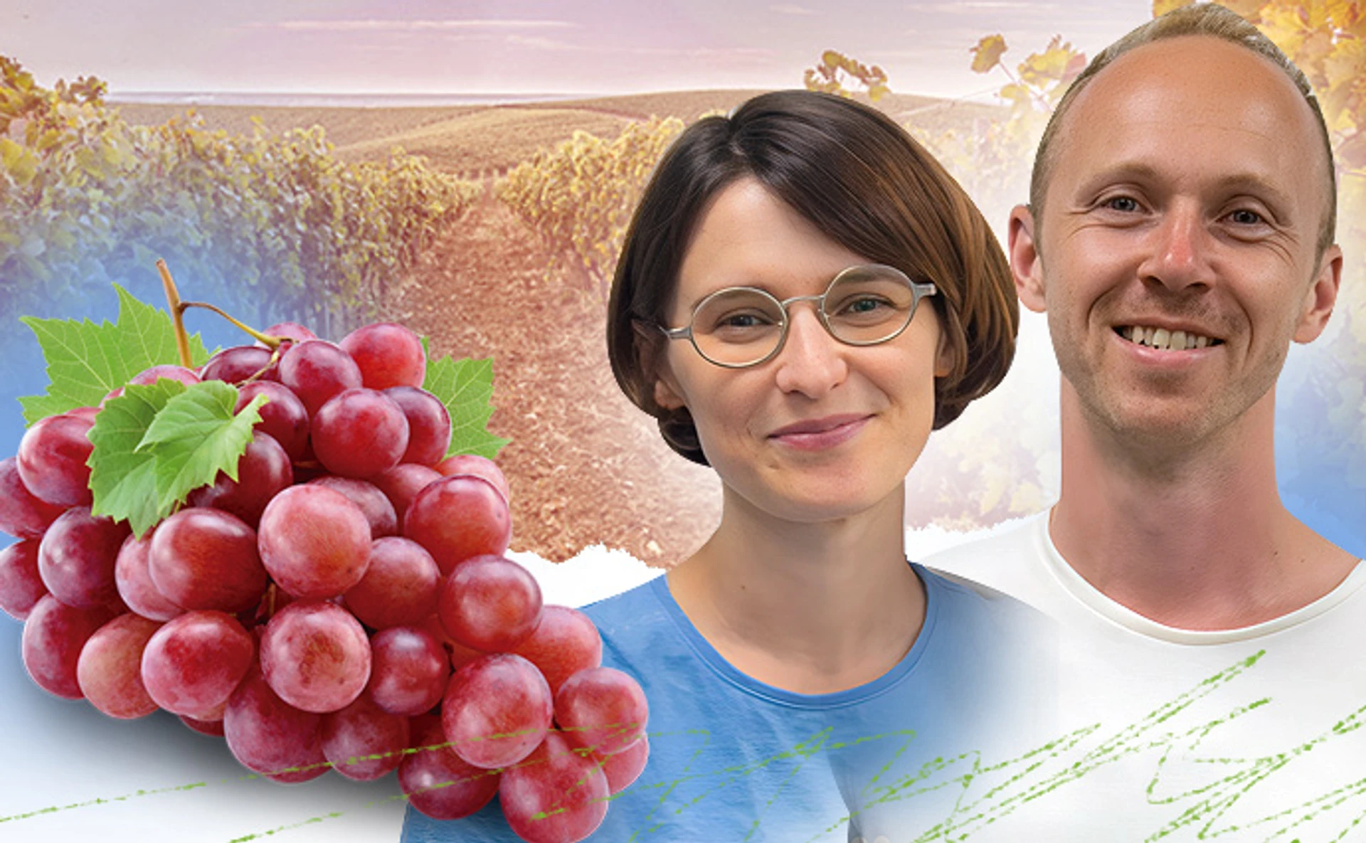 Найактивніша фаза створення радянських ігристих вин – саме в розпал Голодомору. Про українське виноробство від Трипілля до наших днів