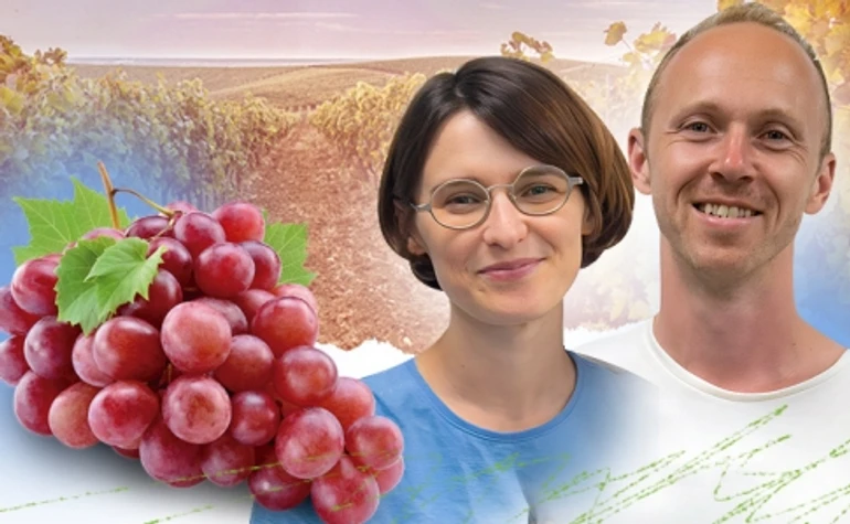 Найактивніша фаза створення радянських ігристих вин – саме в розпал Голодомору. Про українське виноробство від Трипілля до наших днів