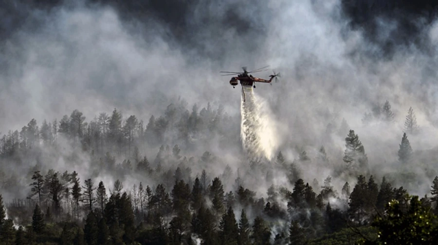 Из-за пожаров на итальянском острове Сардиния эвакуировали несколько сотен человек
