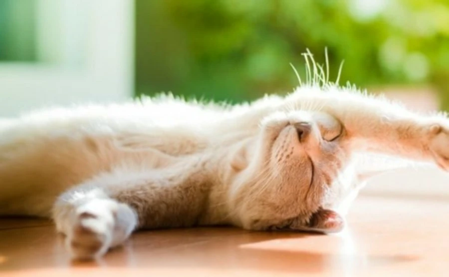 Какую погоду ждать в марте: метеорологи проанализировали и сделали вывод