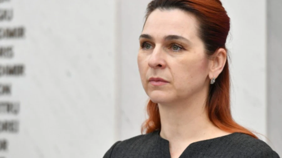 Росія і олігархи-втікачі намагаються дестабілізувати Молдову - глава МВС у Брюсселі